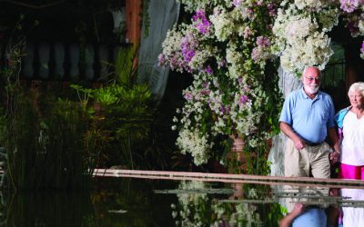 Jardín botánico de Vallarta: flora y fauna como nunca las habías visto