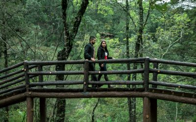 Ruta de la Sierra del Tigre: un camino diferente en Jalisco