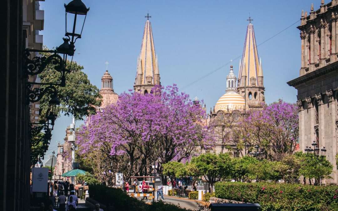 Las flores de Guadalajara: conoce las más típicas en primavera