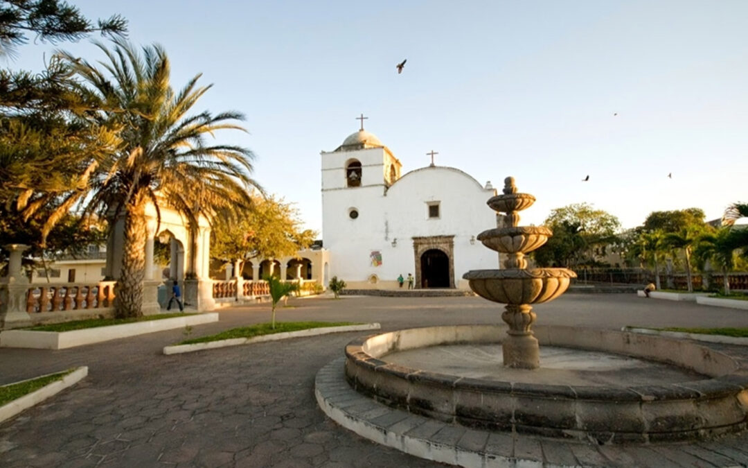 Manglares de Tomatlán: destino de ecoturismo en Jalisco