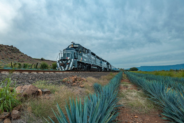 Tequila Express